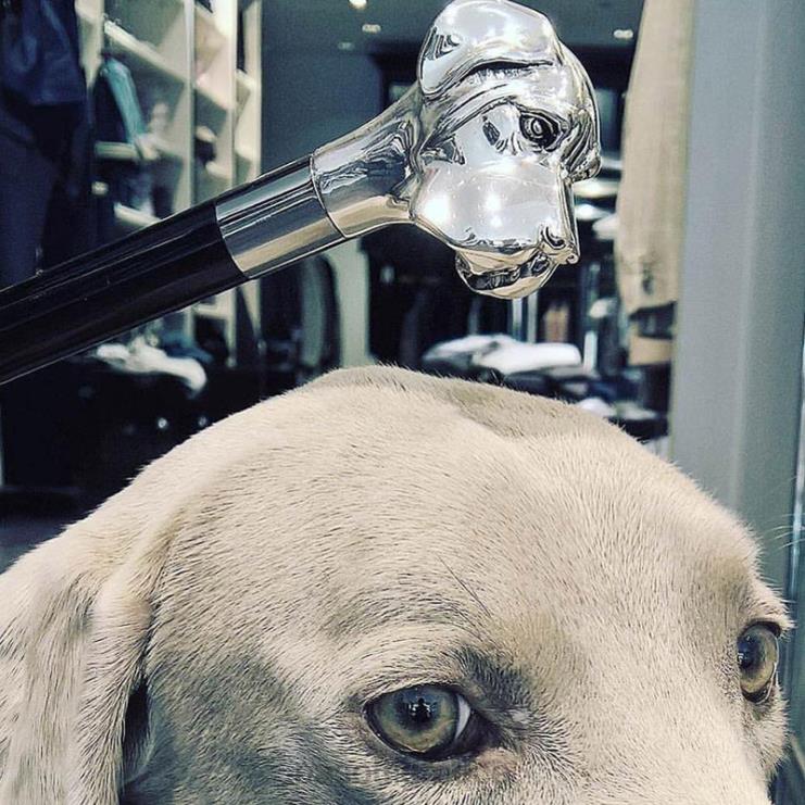 ομπρέλα | PASOTTI 478 5973-2 w27 - ομπρέλα λαμπραντόρ 2N6B856 άνδρες